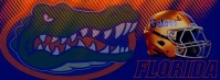 GatorsFBCover template