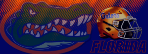GatorsFBCover Facebook-omslagfoto template
