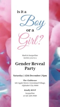 Gender Reveal Instagram Story template