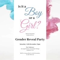 Gender Reveal Template Instagram Post