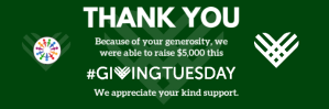 Giving Tuesday ThanksGiving Email Header Temp template