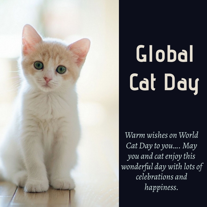 World Cat Day 2025