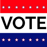 Election 2020 vote campaign instagram post Template | PosterMyWall