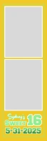 Gold & Light Green Sweet 16 2x6 Photo Frame Template Banner 2' × 6'
