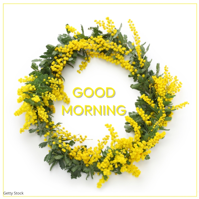 Good Morning Greeting Cards