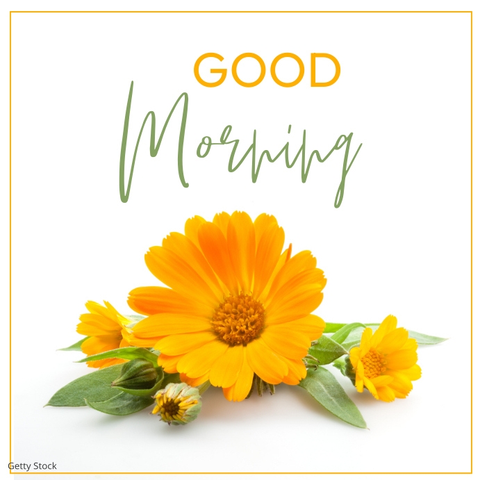 Good Morning Greeting Card Template | PosterMyWall