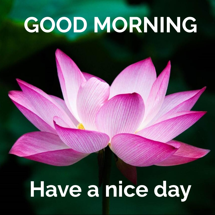 Good Morning Greetings Graphic Post Template | PosterMyWall