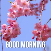 Good Morning Greetings Video Post Template | PosterMyWall