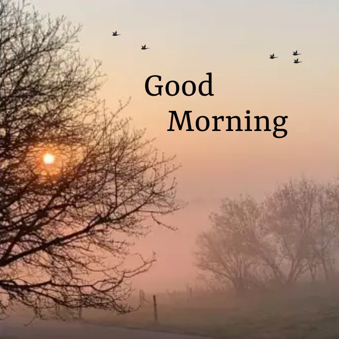 Copy of Good morning Instagram post | PosterMyWall