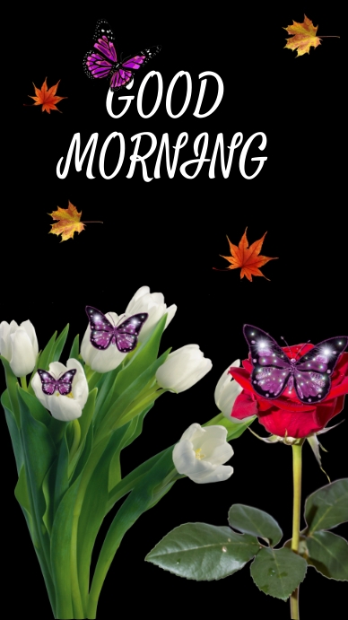 Good Morning Instagram Story template