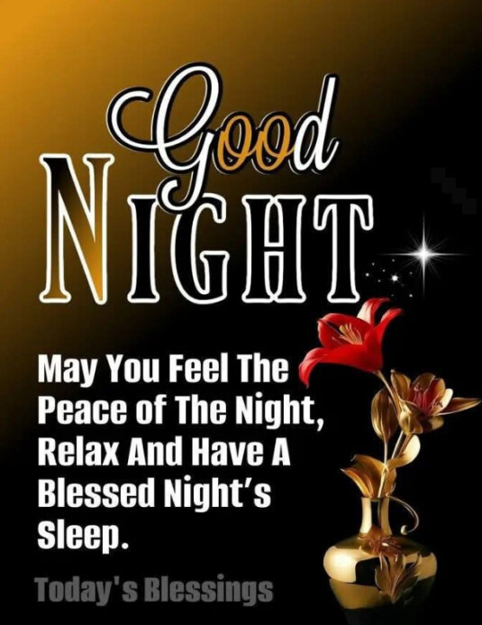 Good night template 传单(美国信函)