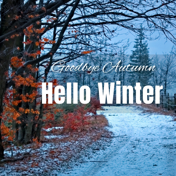 Goodbye Fall Hello Winter