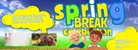 Gradient Spring Break Celebration Facebook Cover Photo template