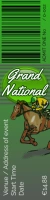 grand national 2023 ticket template