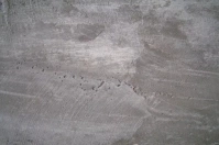 GRAY CONCRETE WALL ป้าย template