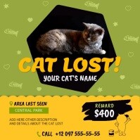Green and Yellow Missing Cat Square Video template