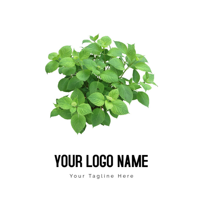 Green Leafed Plant, Logo Logotyp template