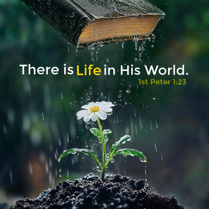Copy of Green Maximalist Bible Verses Instagram Post | PosterMyWall