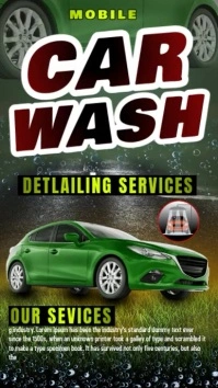 Green Maximalist Carwash Services Flyer Instagram Reel template