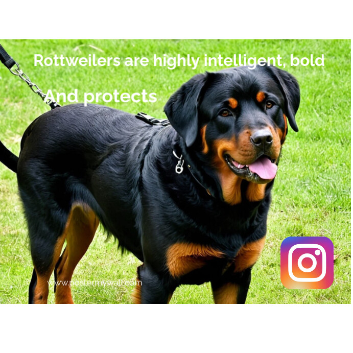 Green Maximalist My Rottweiler Instagram Post template