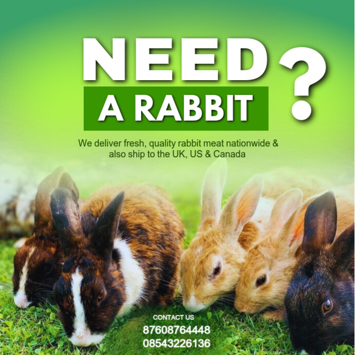 Modèle Green Maximalist Rabbit Farm Instagram Post | PosterMyWall