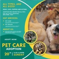 Green Pet Adoption Service Video Ad Quadrado (1:1) template