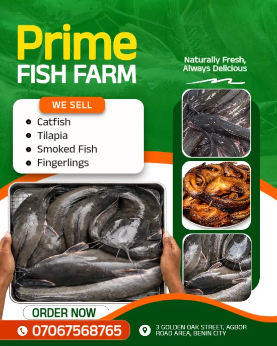 Plantilla de Green Professional Fish Farm Promotional Flyer Instagram ...