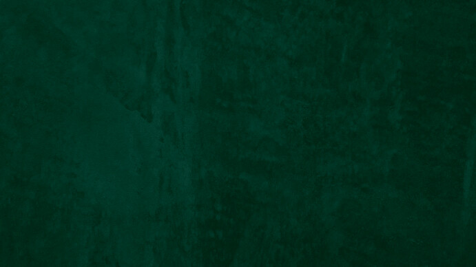 Green Professional Grunge Digital Display (16:9) template