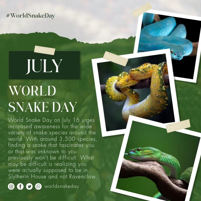 Green Professional World Snake Day Instagram Post template
