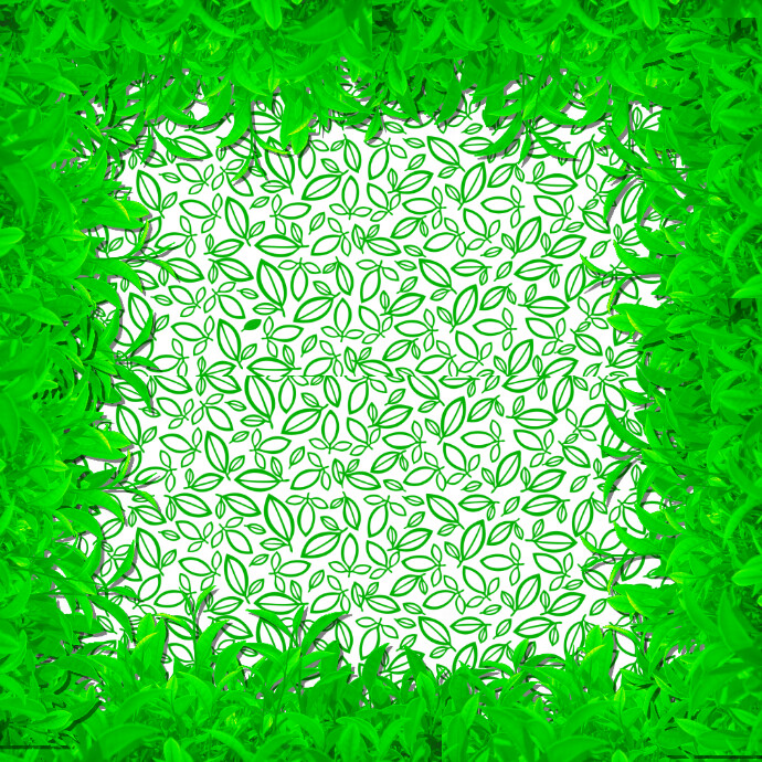 Green tea background 徽标 template