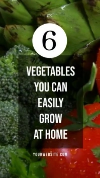 Green Vegetables Vegan Video Background for P Instagram Story template