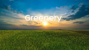 greenery Isithonjana se-YouTube template