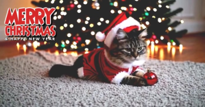 Grå Christmas Celebration Obraz udostępniany na Facebooku Template