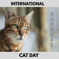 Grey International Cat Day Video Design  Instagram Post template