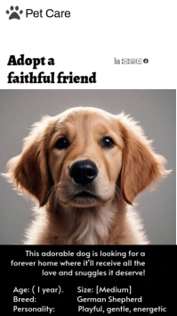 Grey Maximalist Dog For Adoption Instagram Story template