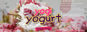 Grijs Homemade Yogurt Ingredients Zdjęcie w tle na Facebooka Template
