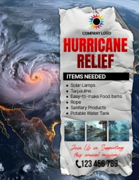 Grey Maximalist Hurricane Flyer (us Letter) template