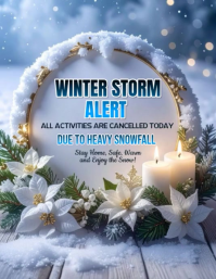Grey Maximalist Winter Storm Announcement  Flyer (us Letter) template