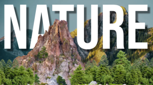 Белый Nature Digitalanzeige Template