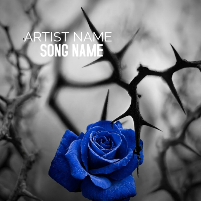 Grey Album Cover Album Covers Template | PosterMyWall