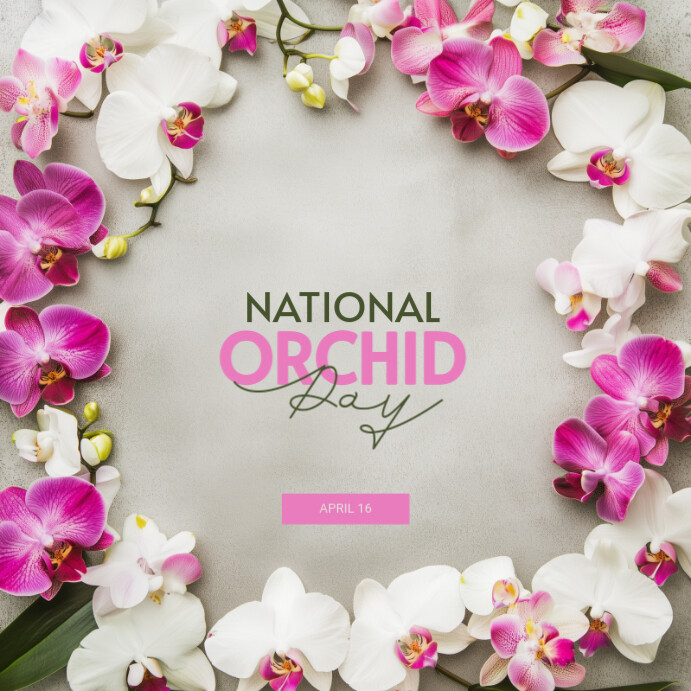Grey Modern & Minimal National Orchid Day Instagram Post template