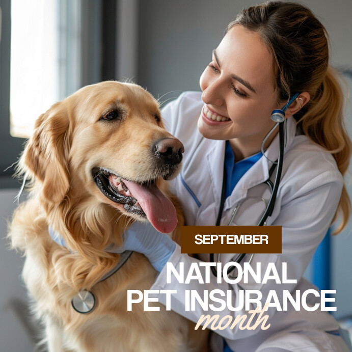 Grey Modern & Minimal National Pet Insurance Month Instagram Post ...