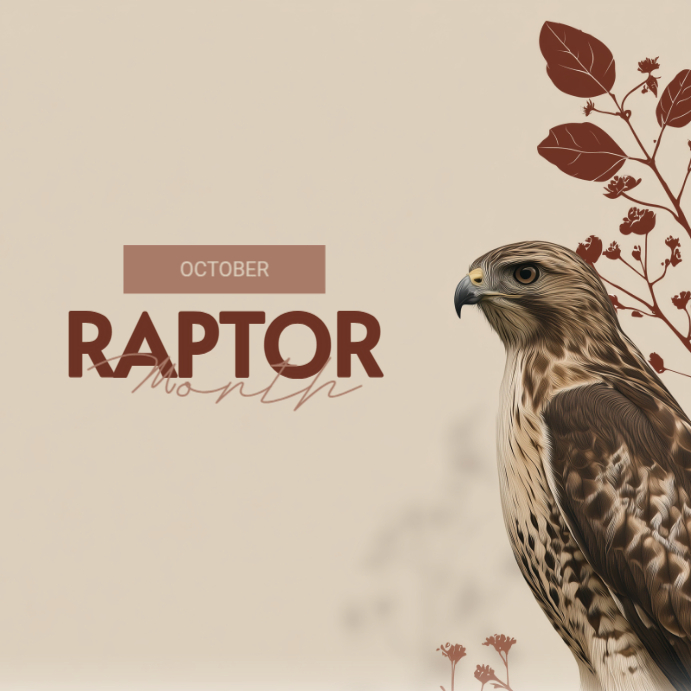Obe Raptor Grey Modern & Minimal Raptor Month Instagram Post Templat | PosterMyWall