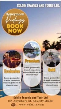 Grey Modern & Minimal Special Honeymoon Package Video  Digital Display (9:16) template