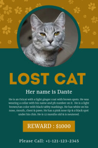 Grey Pet Cat Lost Help Post Template Poster