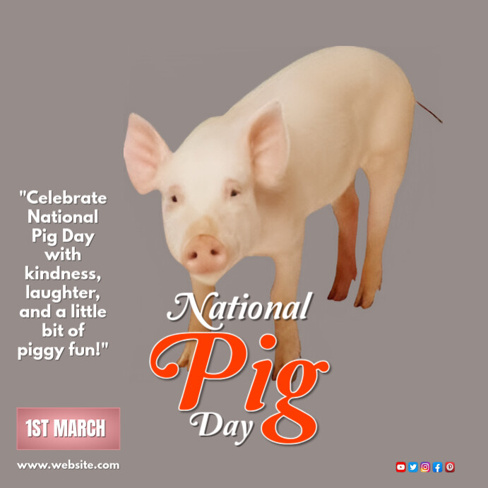 Grey  Pig Image  National Pig Day  Instagram Post Pig day 2025 National pig day template