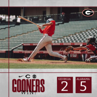 Grey Professional Baseball Gameday Final Score Instagram Post template