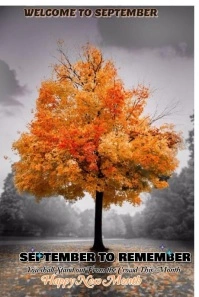 Grey Professional Happy New Month  Pinterest Pinterest-Grafik template