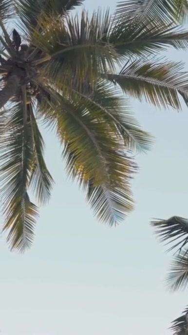 Grey Weekend Getaway  Digital Display (9:16) template