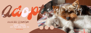 Groovy Pet Adoption Banner Flyer Facebook Cover Photo template